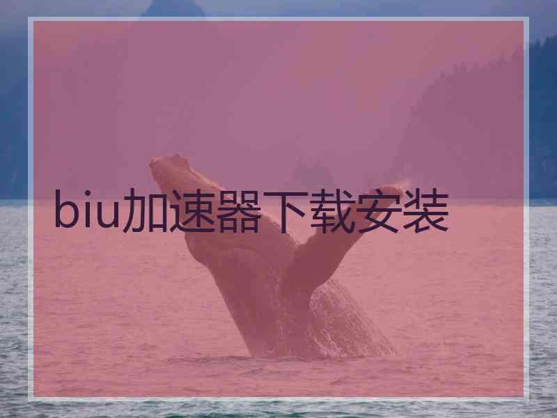 biu加速器下载安装