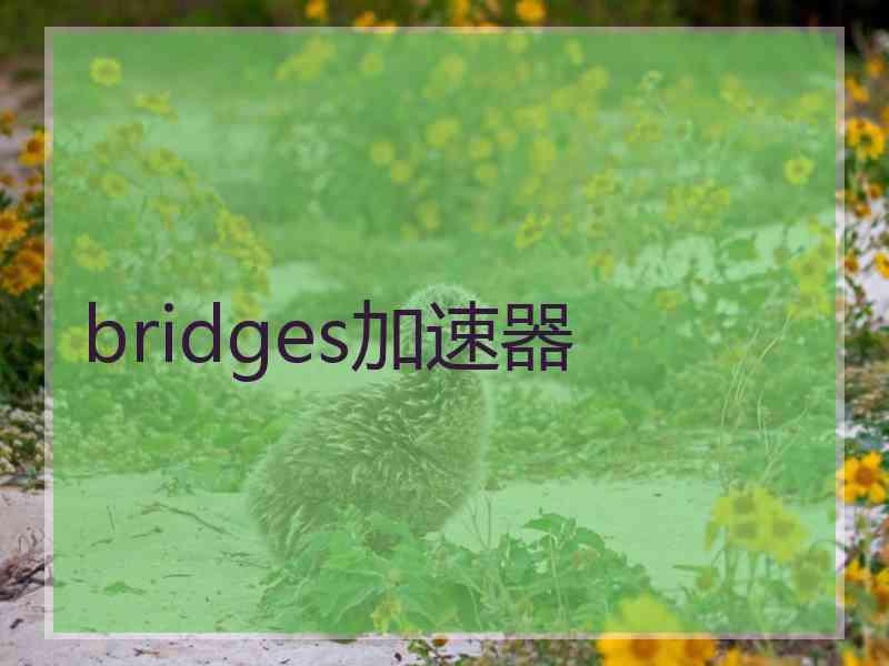 bridges加速器