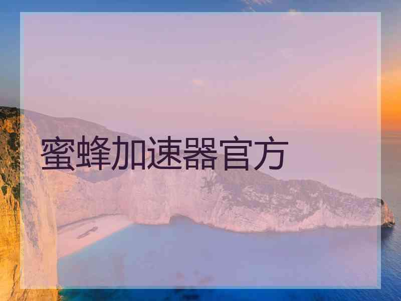 蜜蜂加速器官方