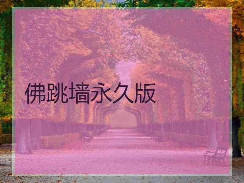 佛跳墙永久版