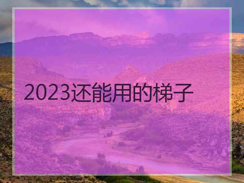 2023还能用的梯子