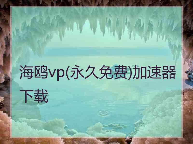 海鸥vp(永久免费)加速器下载