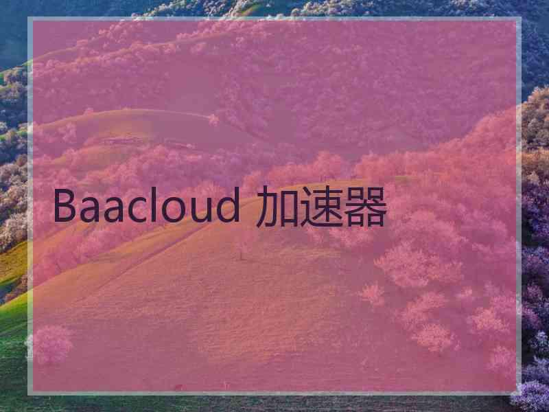 Baacloud 加速器