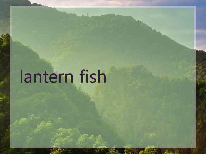 lantern fish