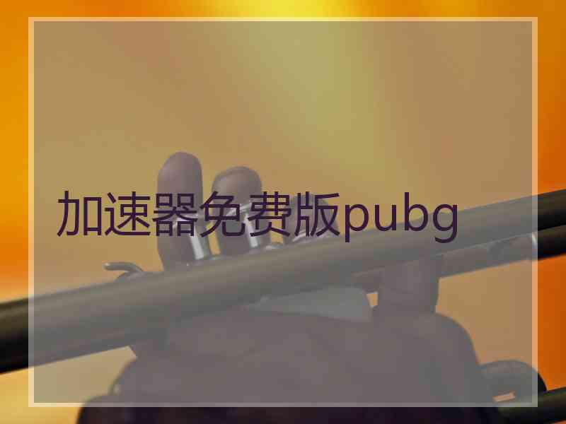 加速器免费版pubg