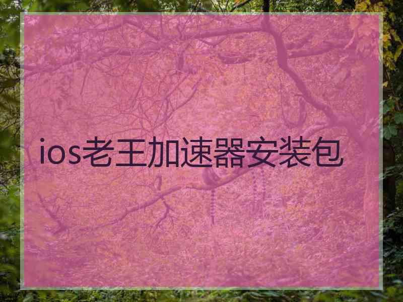 ios老王加速器安装包