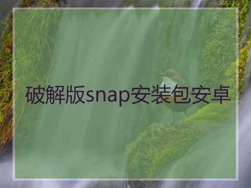 破解版snap安装包安卓