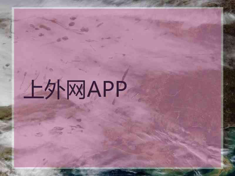 上外网APP