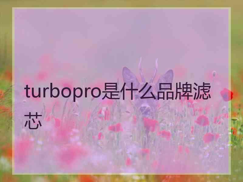 turbopro是什么品牌滤芯