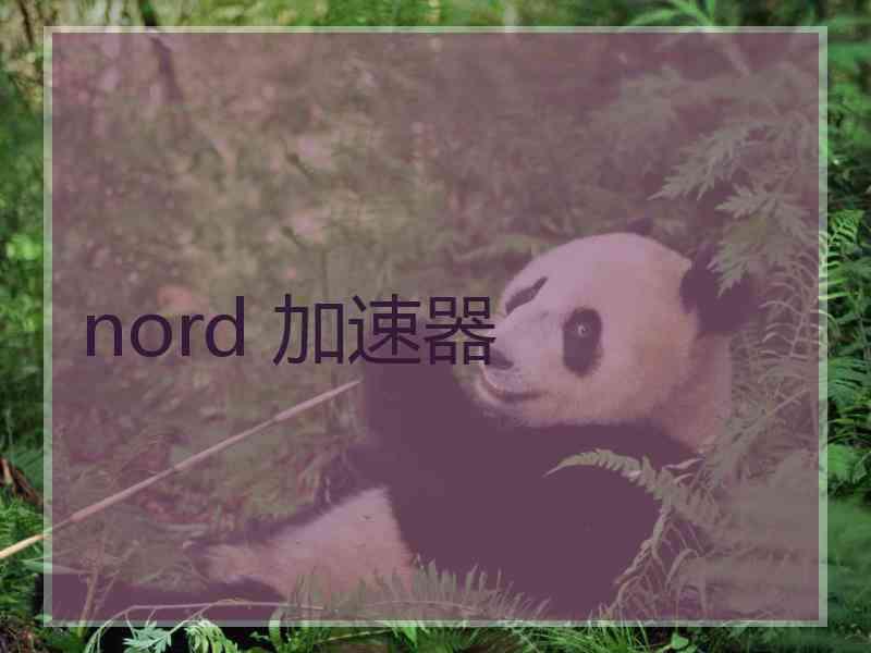 nord 加速器