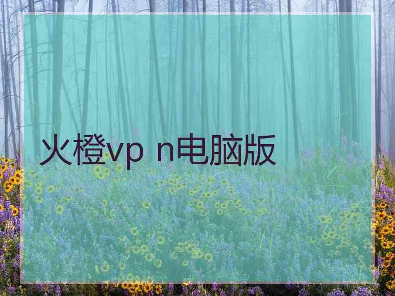 火橙vp n电脑版