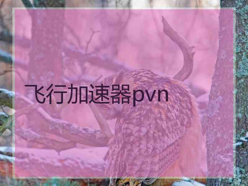 飞行加速器pvn