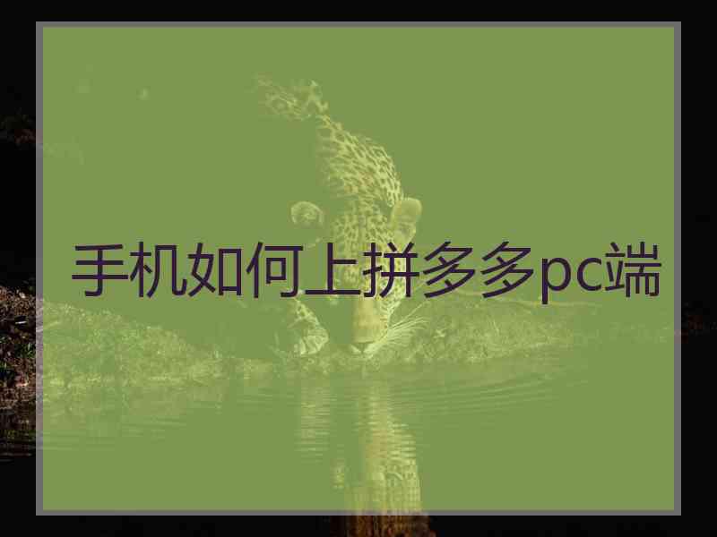 手机如何上拼多多pc端