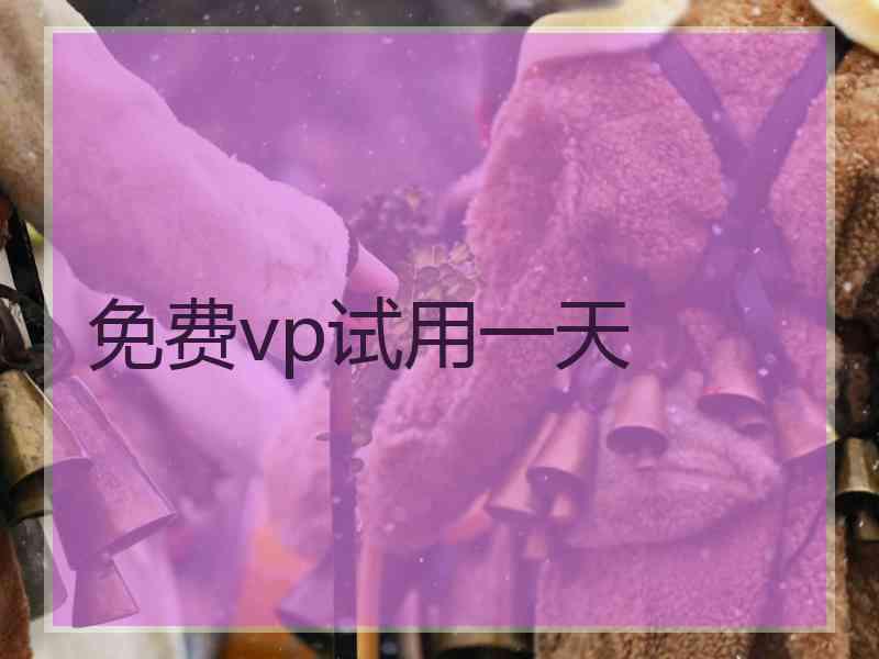 免费vp试用一天