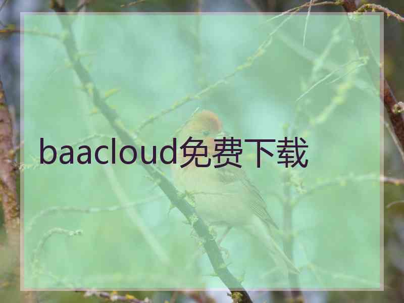 baacloud免费下载