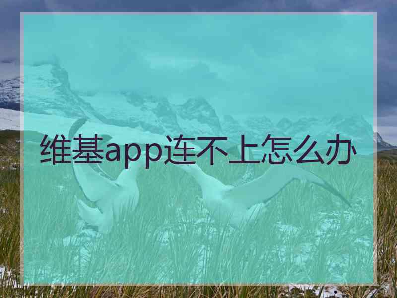 维基app连不上怎么办