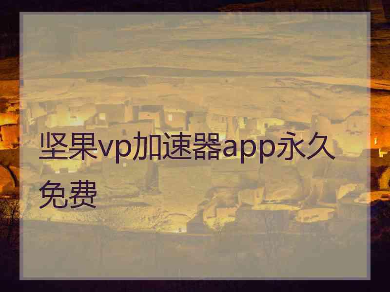 坚果vp加速器app永久免费