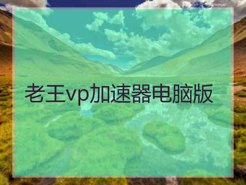 老王vp加速器电脑版