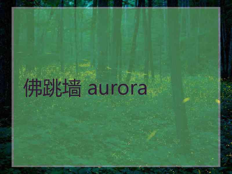 佛跳墙 aurora