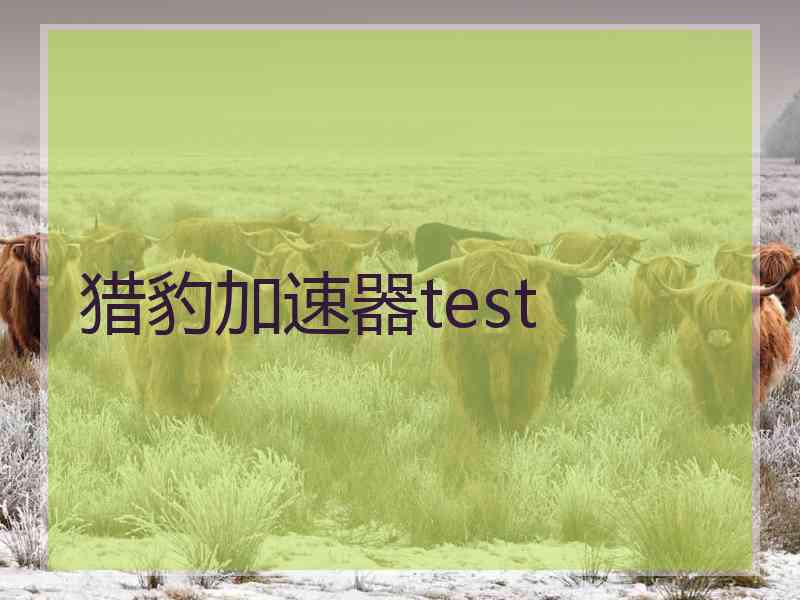 猎豹加速器test