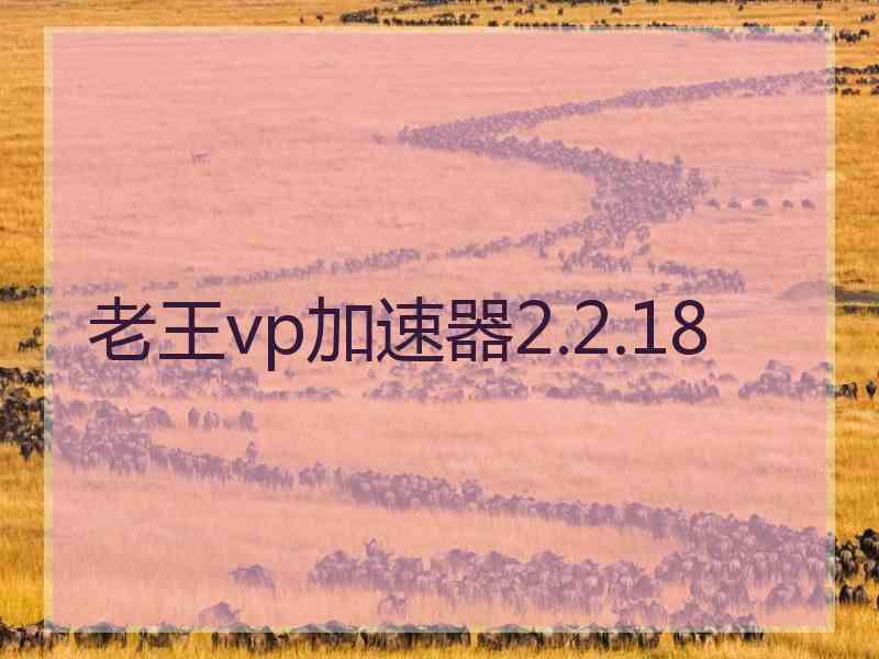 老王vp加速器2.2.18