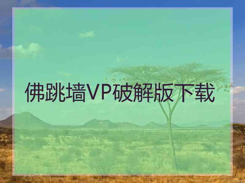 佛跳墙VP破解版下载