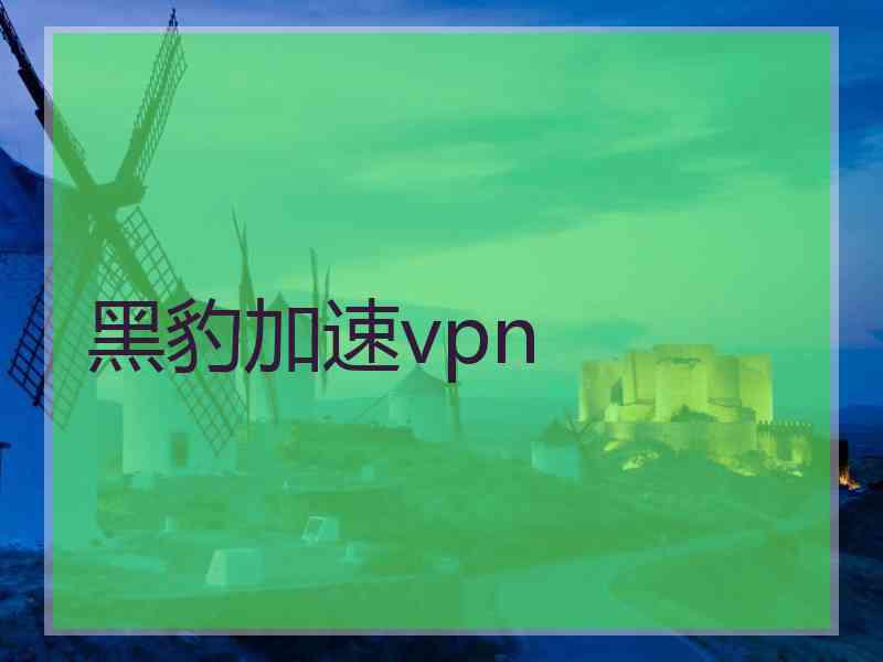 黑豹加速vpn