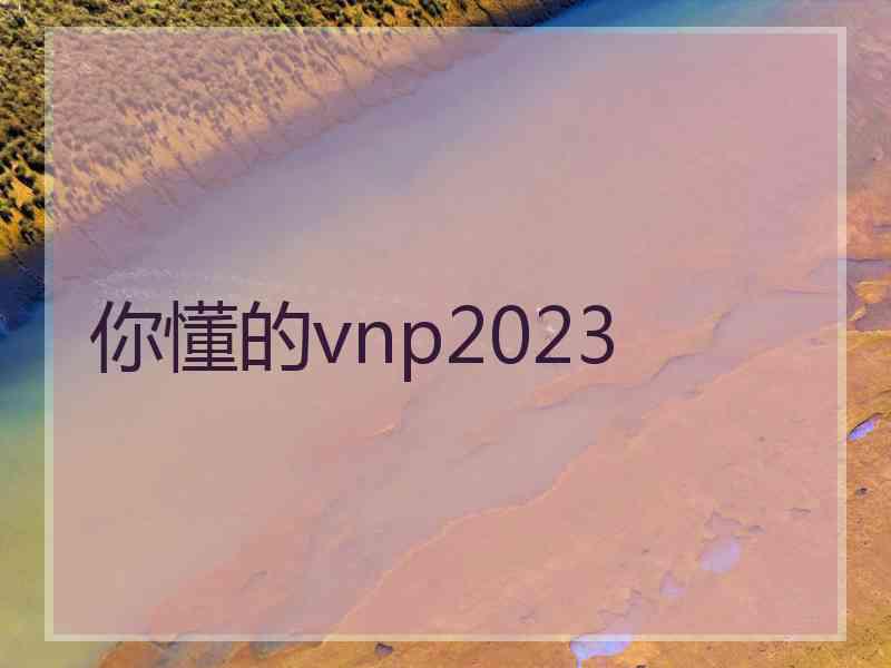 你懂的vnp2023