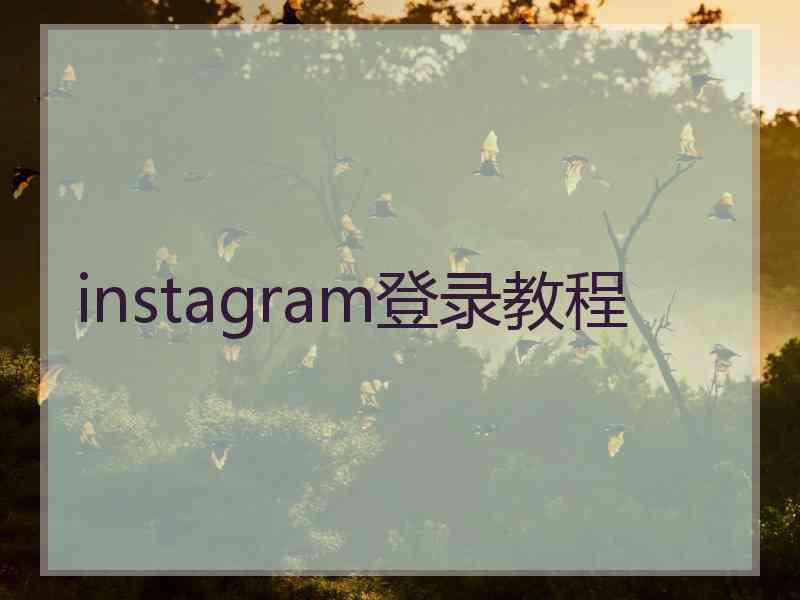 instagram登录教程