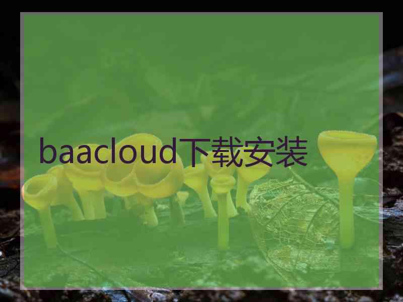 baacloud下载安装