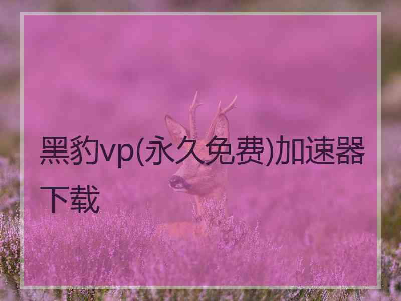 黑豹vp(永久免费)加速器下载