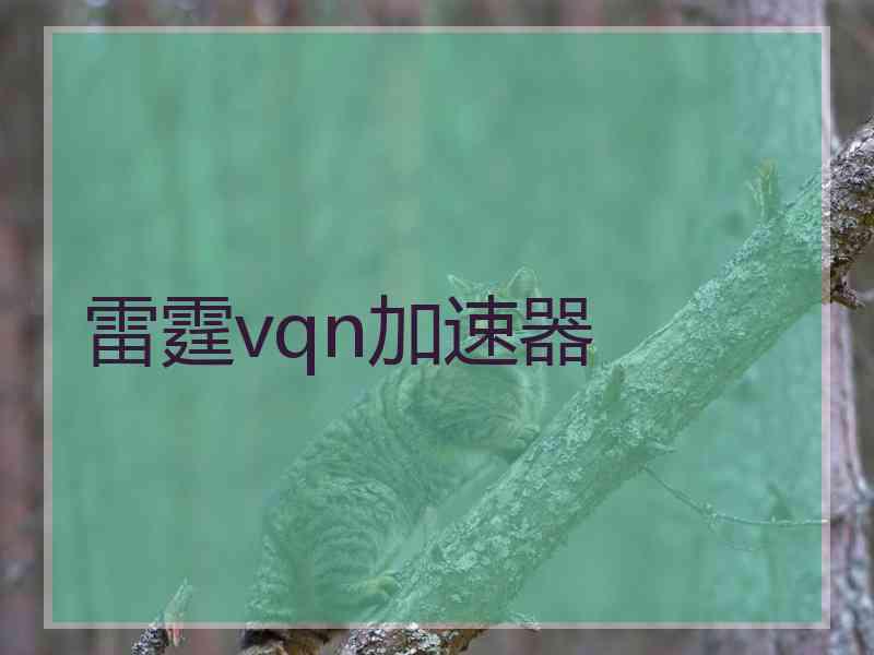 雷霆vqn加速器