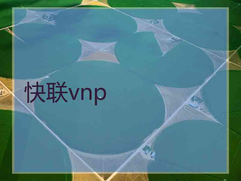 快联vnp