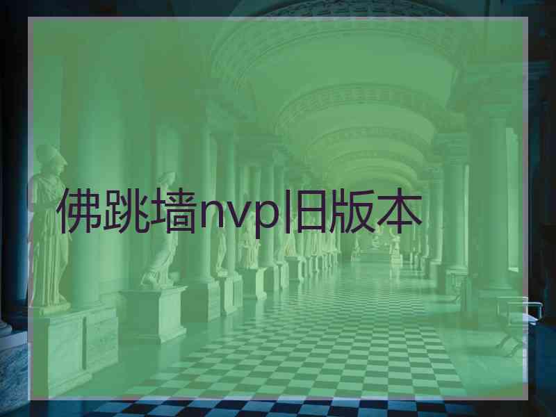 佛跳墙nvp旧版本