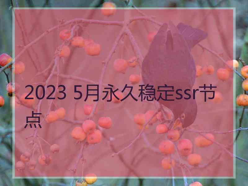 2023 5月永久稳定ssr节点