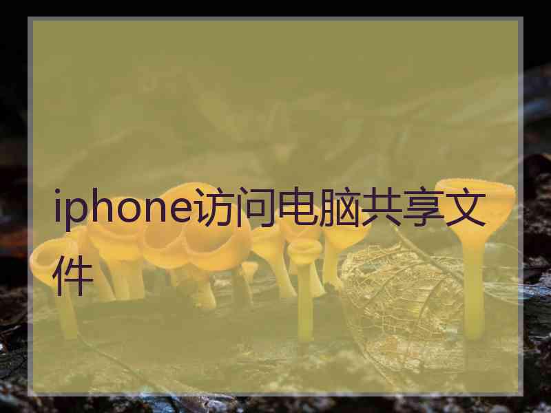 iphone访问电脑共享文件