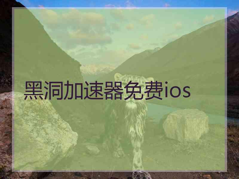 黑洞加速器免费ios