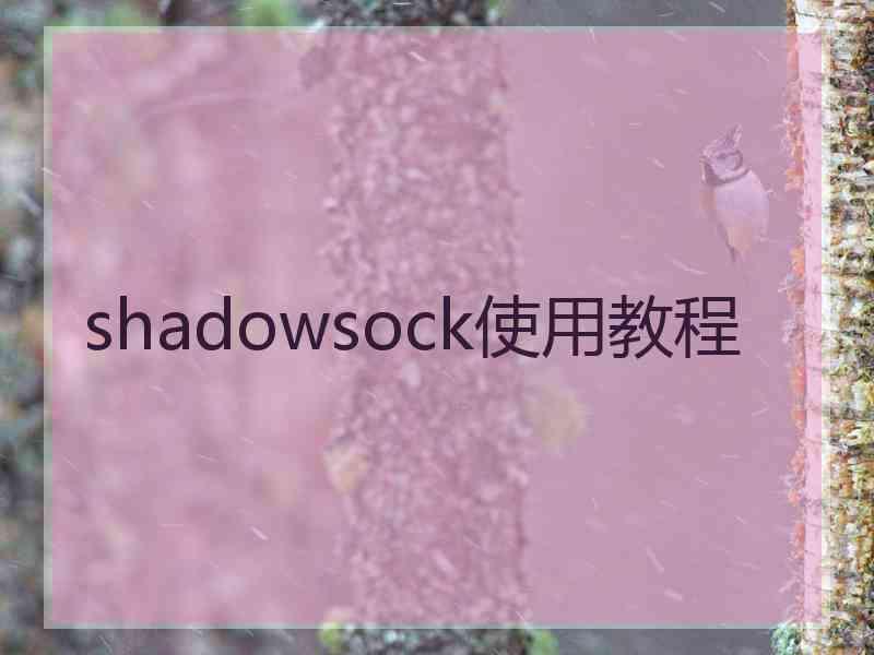 shadowsock使用教程