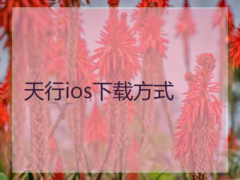 天行ios下载方式