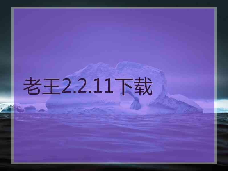 老王2.2.11下载