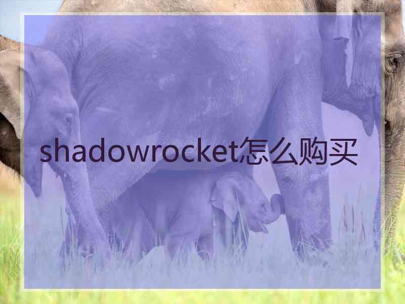 shadowrocket怎么购买