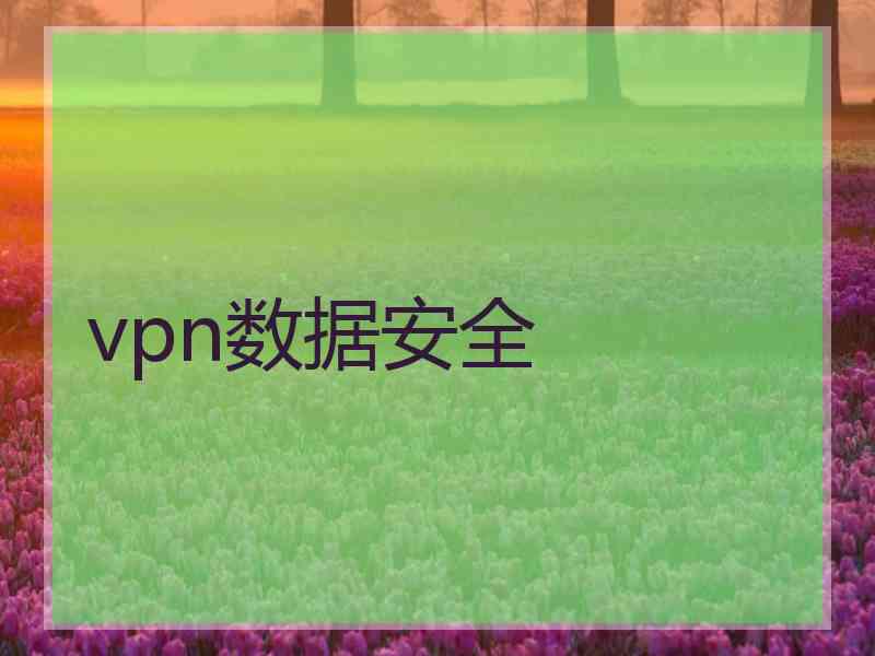 vpn数据安全