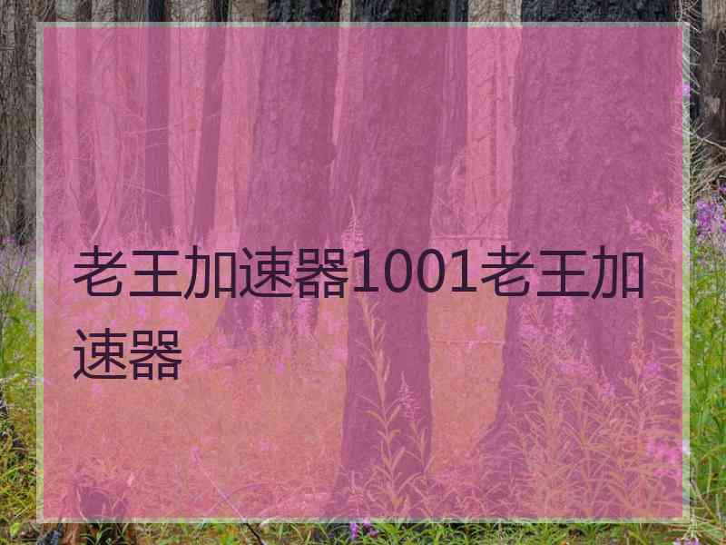 老王加速器1001老王加速器