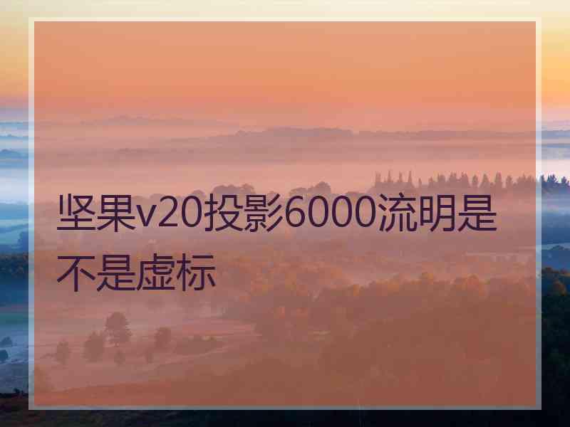 坚果v20投影6000流明是不是虚标