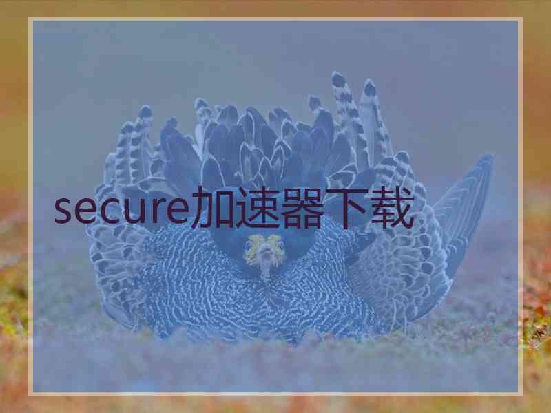 secure加速器下载