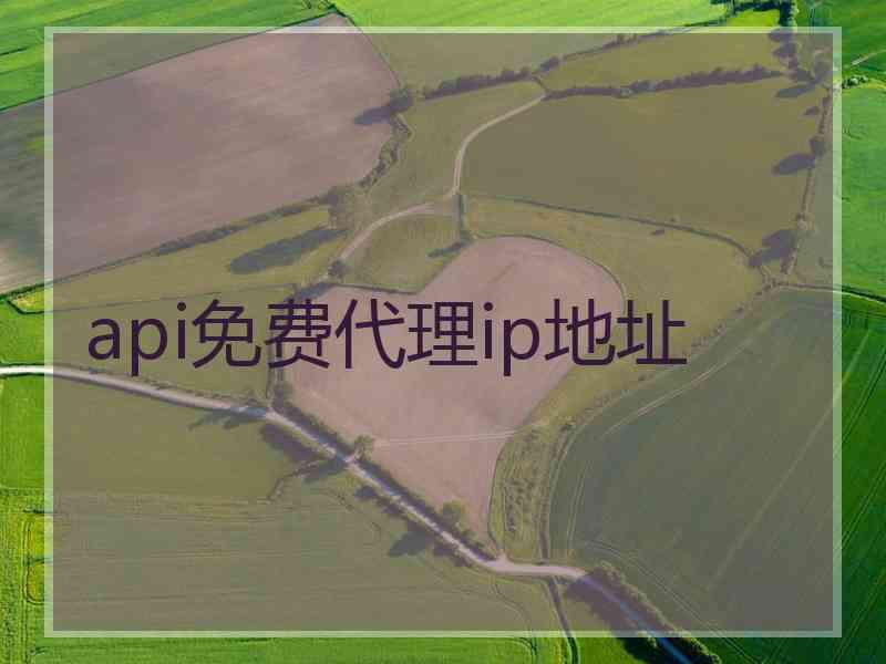 api免费代理ip地址