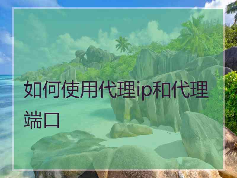 如何使用代理ip和代理端口