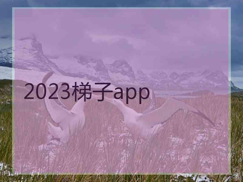 2023梯子app