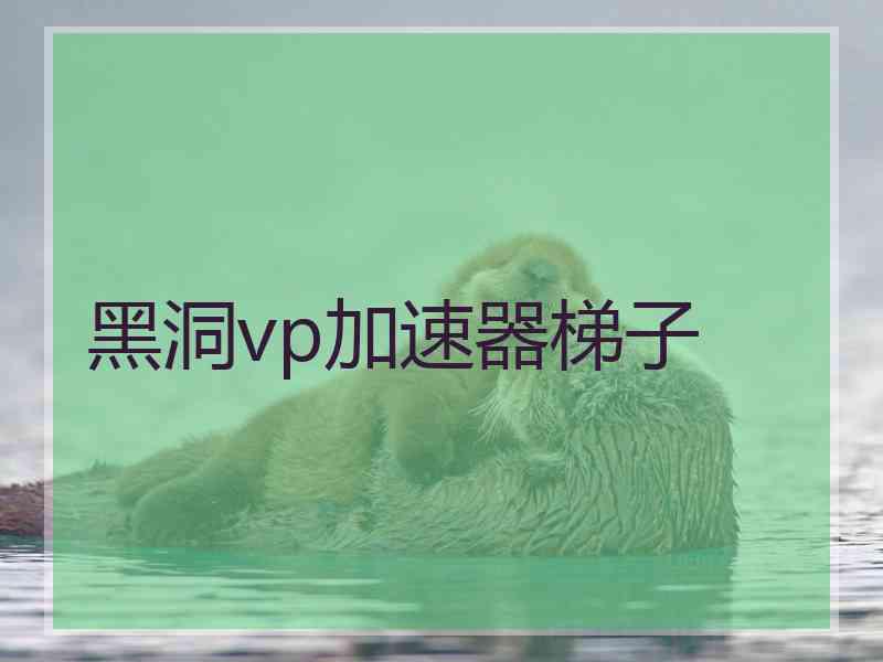 黑洞vp加速器梯子