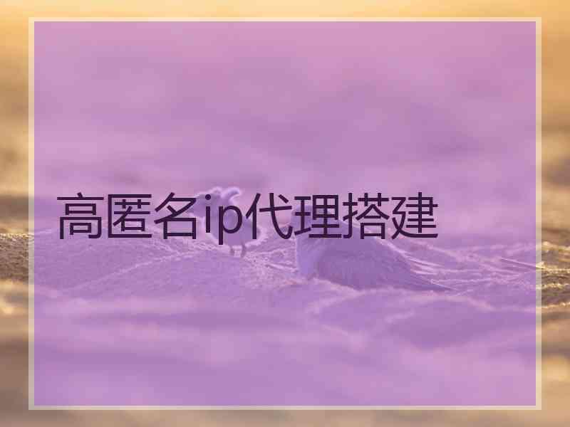 高匿名ip代理搭建